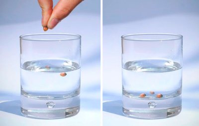 проращивание семян конопли